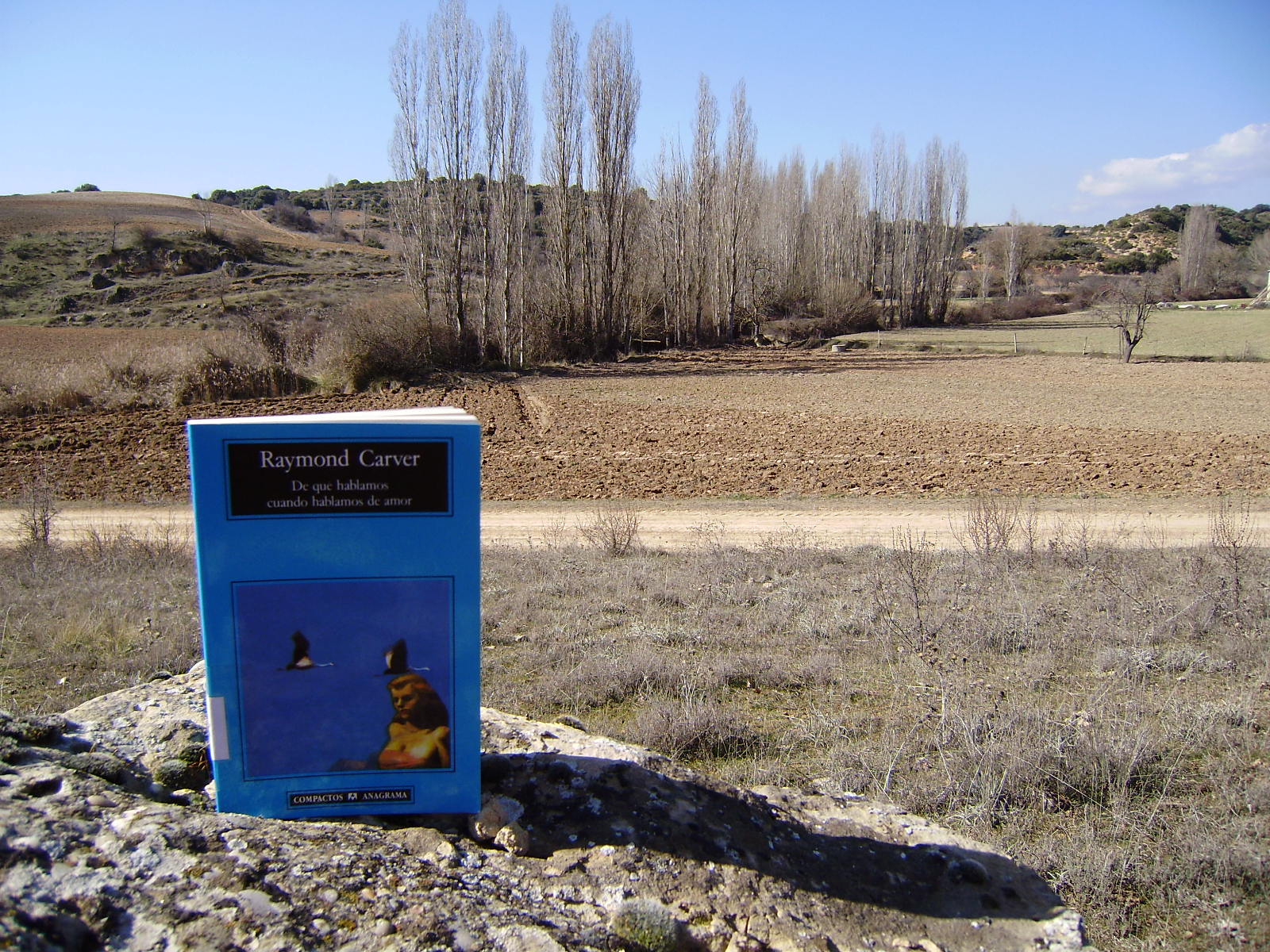 el-blog-de-la-biblioteca-de-albendea-de-qu-hablamos-cuando-hablamos