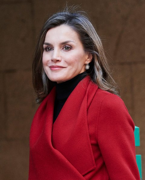 Queen Letizia attends a Working meeting of AECC