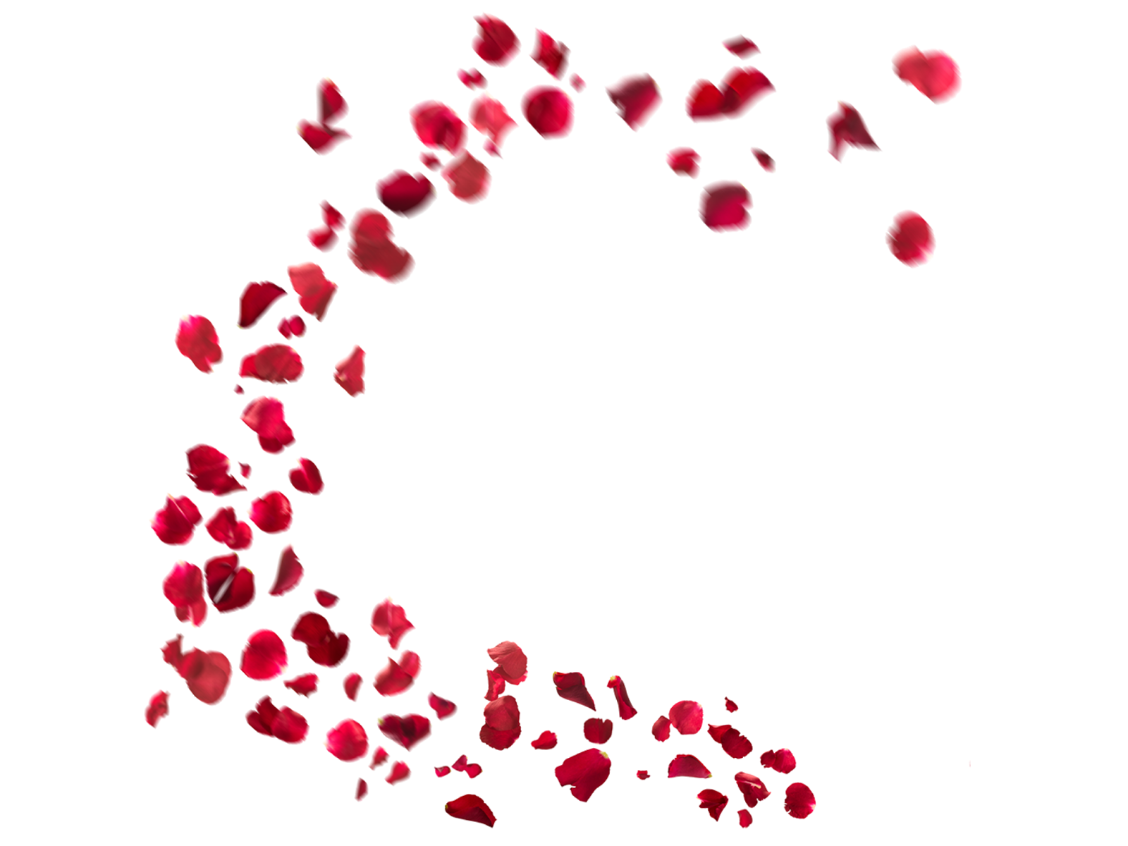 Some Flower's Effect's Png...!! !! | Royal Editing World