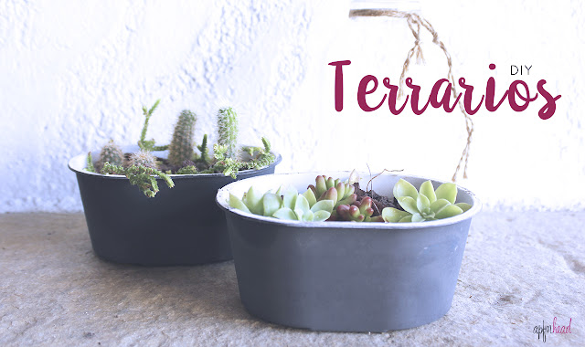 DIY: Mini terrarios