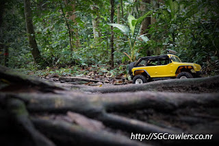 [PHOTOS] 20160424 - Rifle Range Road - Durian Loop Trail Photos DSC02775