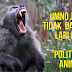 TIADA SUMBANG MAHRAM ... Faktor Kemenangan BN/UMNO di PRK Kuala Besut ?