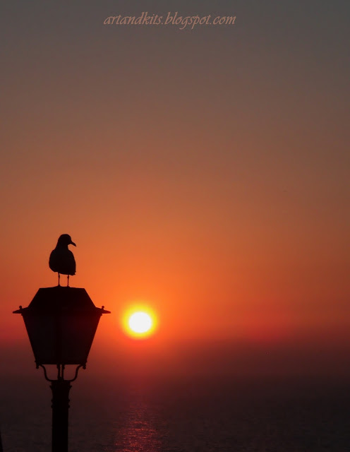 Ouvir os outros, às vezes, poderá ser o melhor dos remédios... ou o pior dos venenos... Na melhor das hipóteses... ouve-te a ti mesmo, em primeiro lugar... e depois, decidirás quem deverá fazer-se ouvir... / Listen to others, sometimes, it can be the best medicine... or your worst poison... At the best...  you should listen to yourself first... and then, you're will be more able to choose to whom you should listen to...