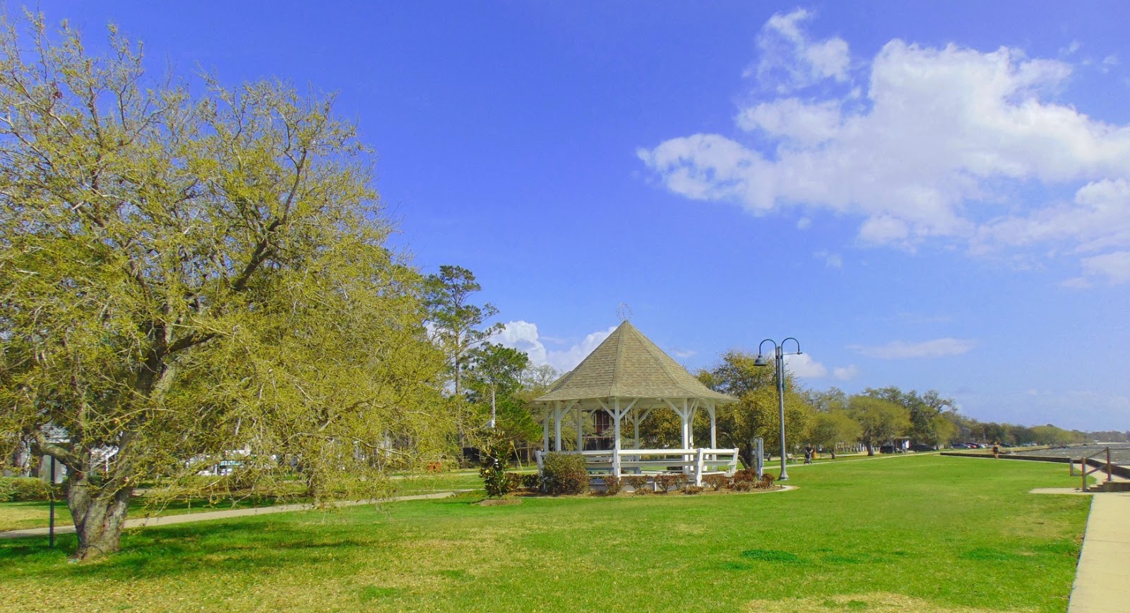 Tammany Family Mandeville Lakefront Saturated