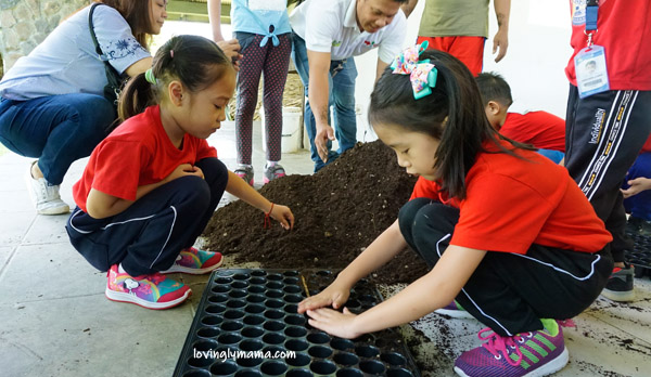 teach kids to grow their own food - Bright Kids Preschool - field trip - homeschooling - Bacolod preschool - Bacolod blogger - Bacolod mommy blogger - Negros Farmers Weekend Market - Bacolod City - Negros Occidental