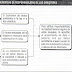 Las pretensiones de responsabilidad contra los directores de las Sociedades Anónimas