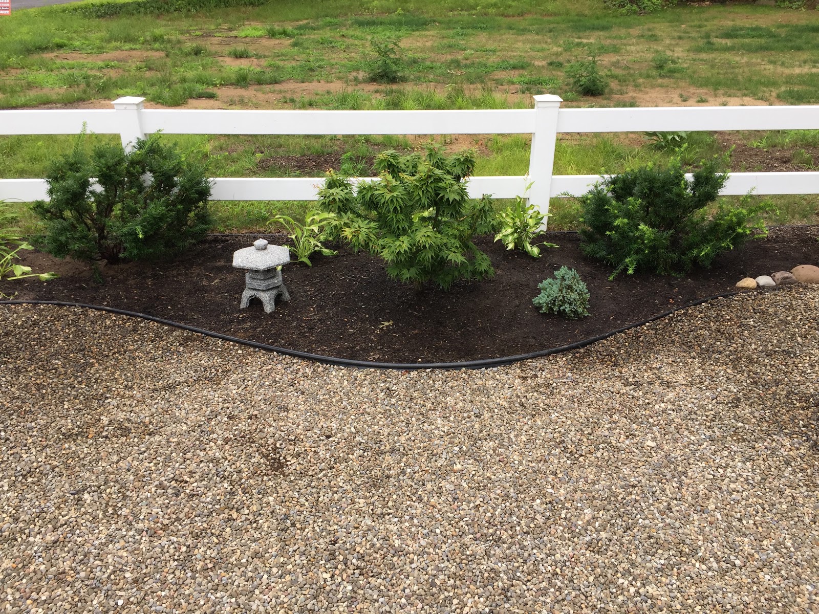 Bonsaibp S Bonsai Blog Before And After