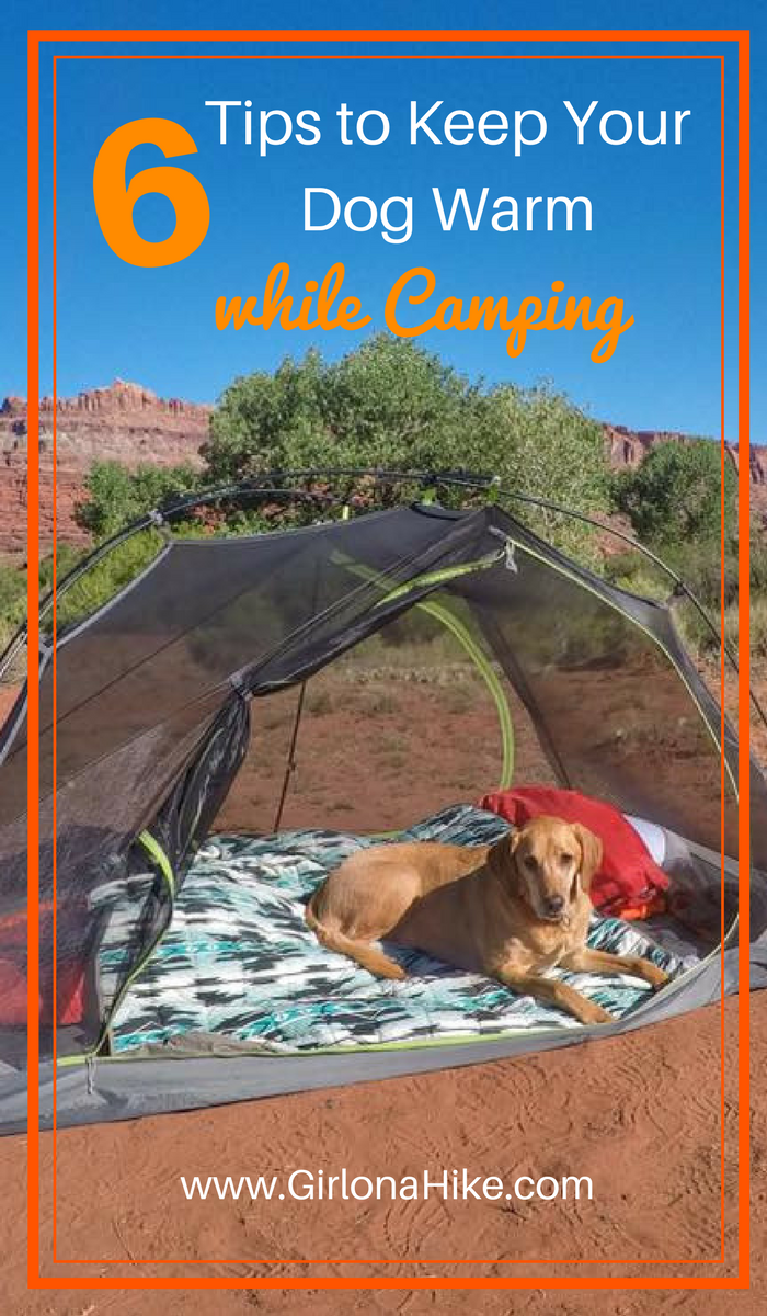 6 Tips to Keep Your Dog Warm while Camping Girl on a Hike