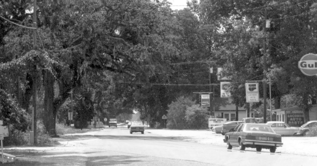 Tammany Family Where Did The Name Come From?