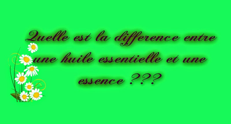 Les Mousquetettes© Les Mousquetettes©