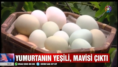 yeşili mavisi çıktı tanesi 20 lira 