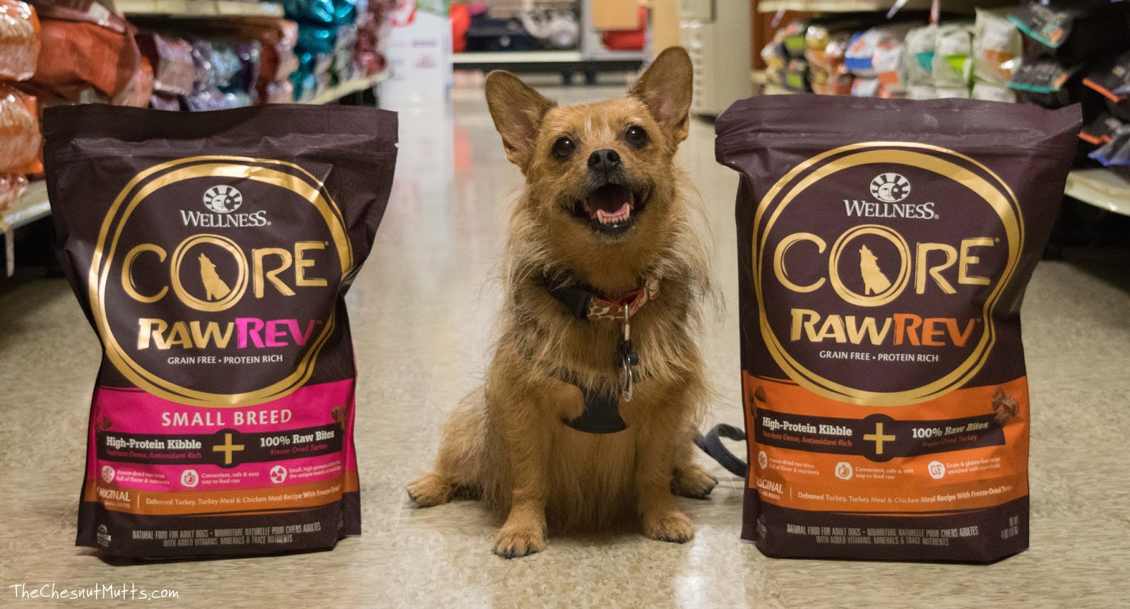 Brand Awareness Wellness® Core® RawRev™ Balanced Nutrition with the