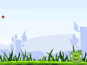 Gambar Angry Birds Gerak Bomb Animasi Enggribet Flash 