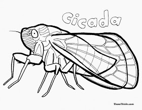 http://printablecolouringpages.co.uk/?s=image+cicada