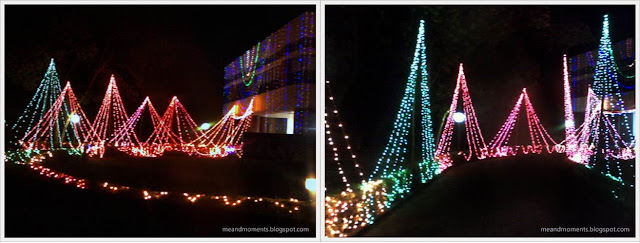 street decoration, Diwali light decoration, wedding light decoration, house decoration with lights