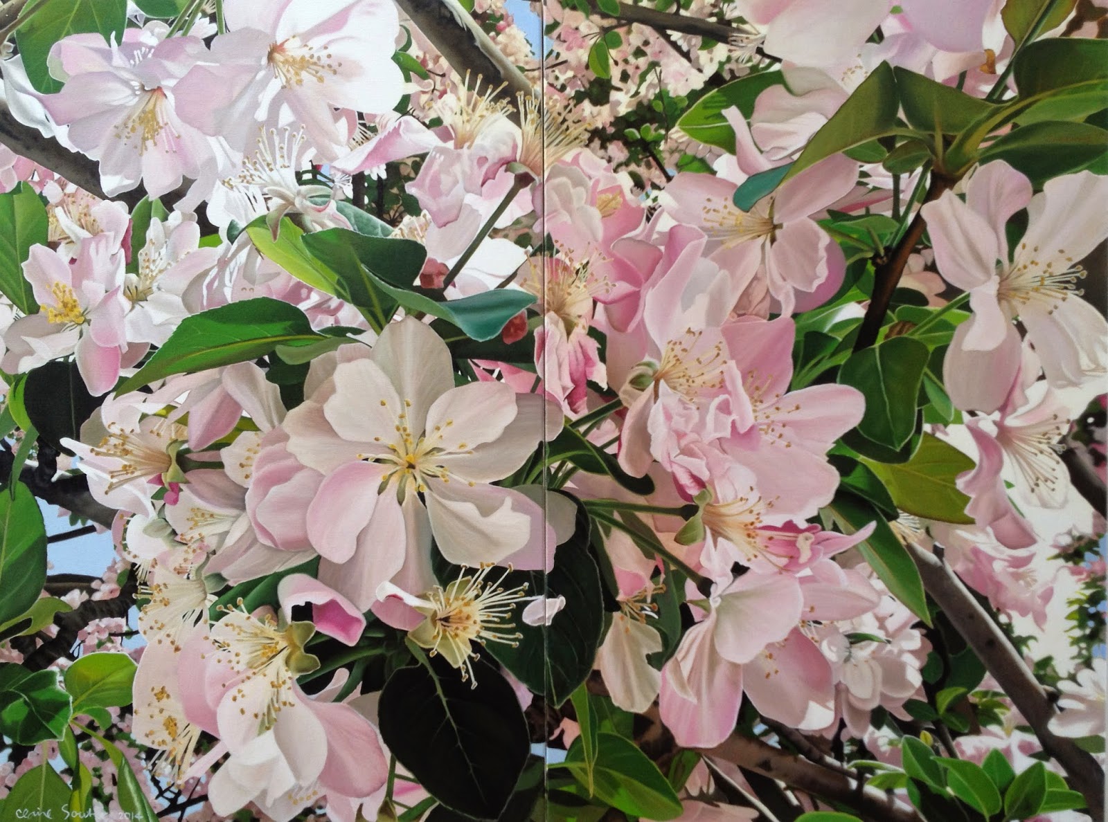 Claire Souter Gallery