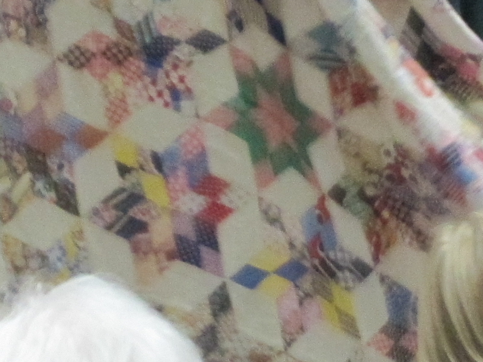 Paula Reid Machine Quilter TLC Quilters Covina CA