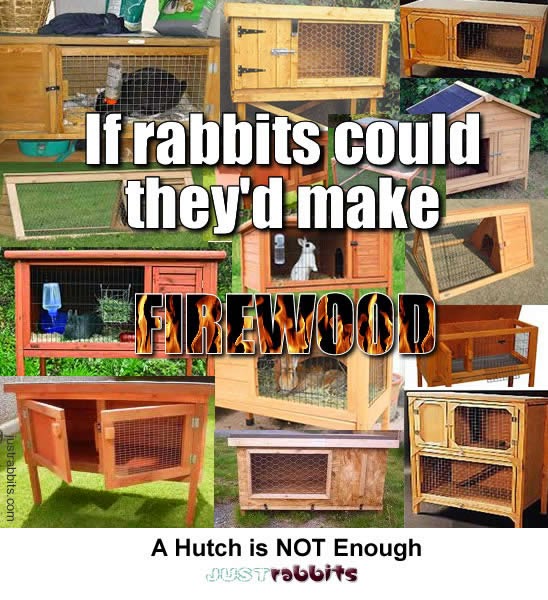 Het Vrolijke Konijnenhol Inspiratie voor konijnenrennen