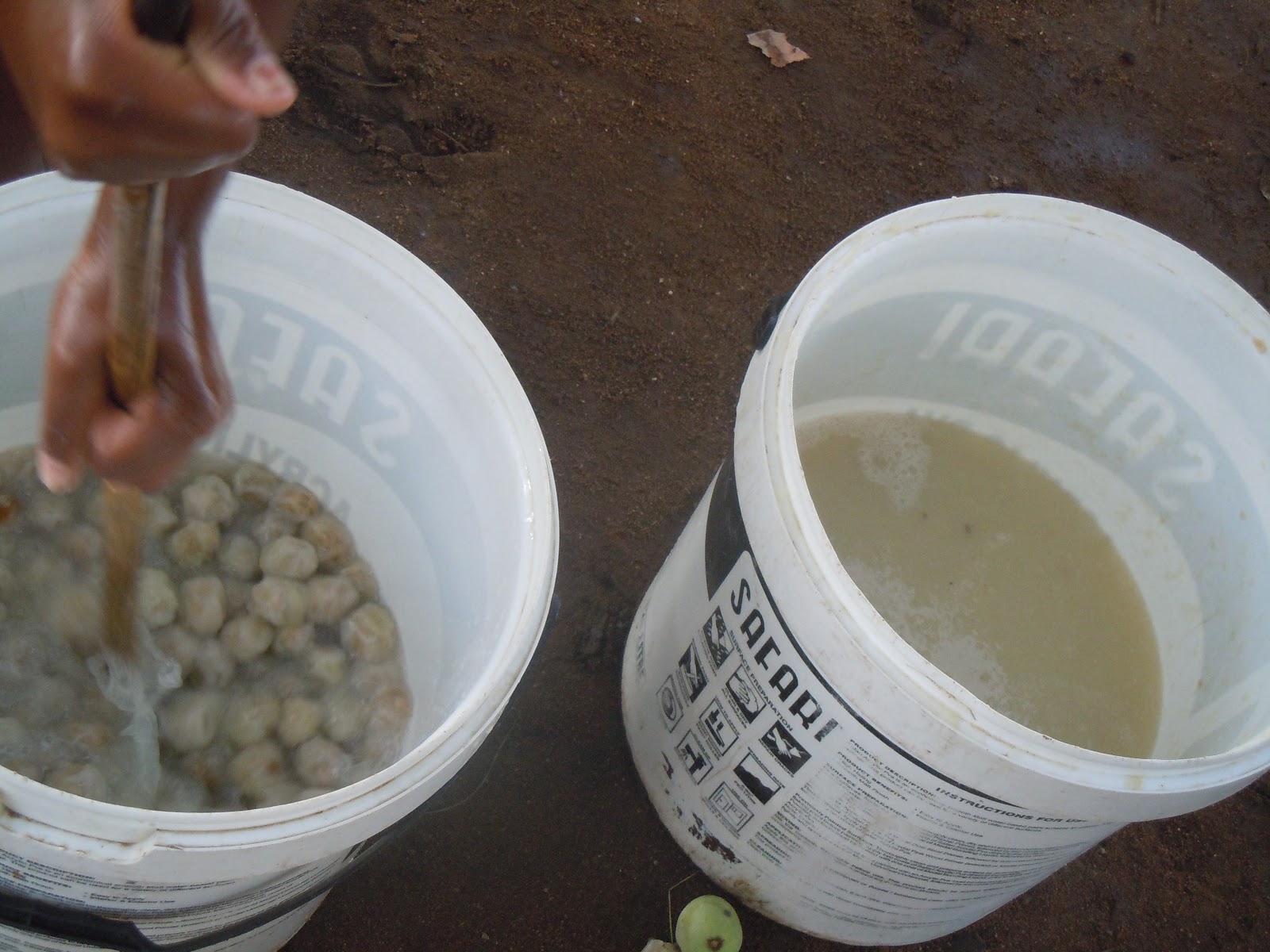 Sawubona! Hello! Sisi wami uphisa emaganu (my sister brews marula beer)