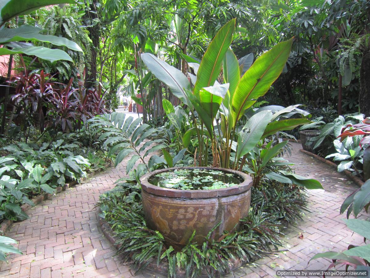 Rambling towards an exotic garden paradise Sawatdee Khrap! Hello