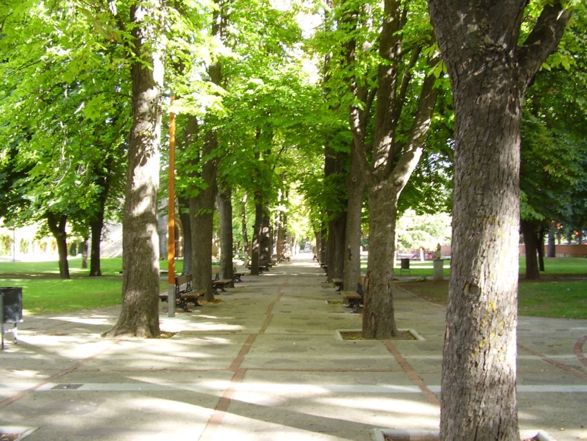 FOTOGRAFIAS Parque la Huerta de Guadian