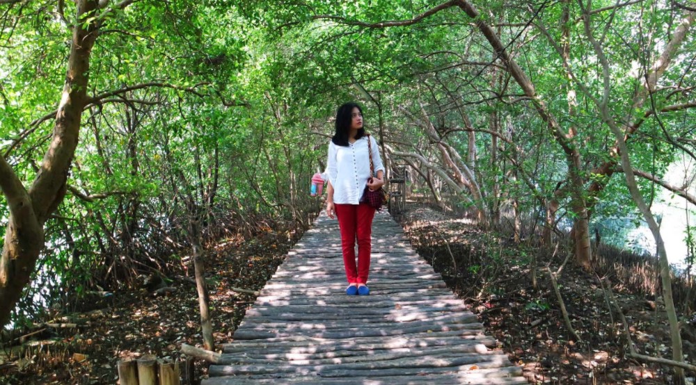 Harga Tiket Masuk Hutan Mangrove Pik 2019 Tour Informasi