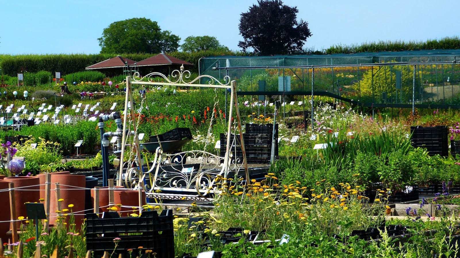 Impressionen aus dem Dreiländereck Deutschland/Schweiz/Frankreich und