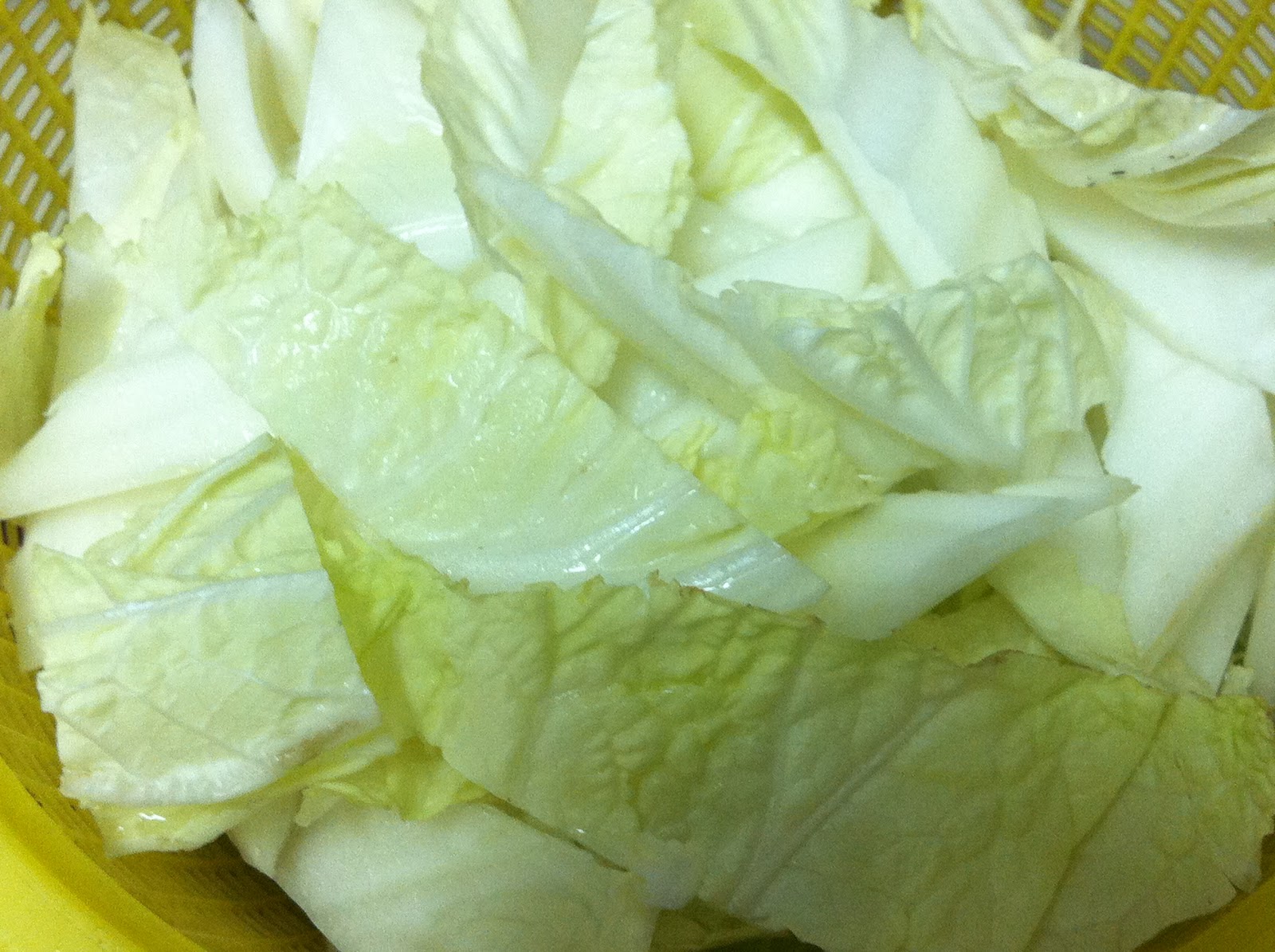 Braised Chinese Cabbage Yummilicious!