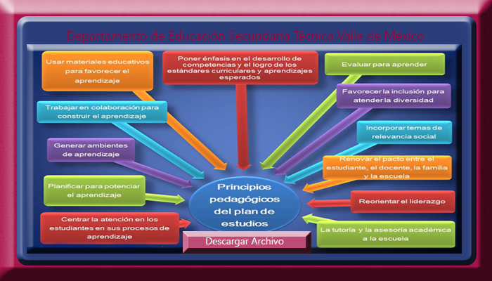 TIC en Educación: Principios Pedagógicos del Plan de Estudios 2011