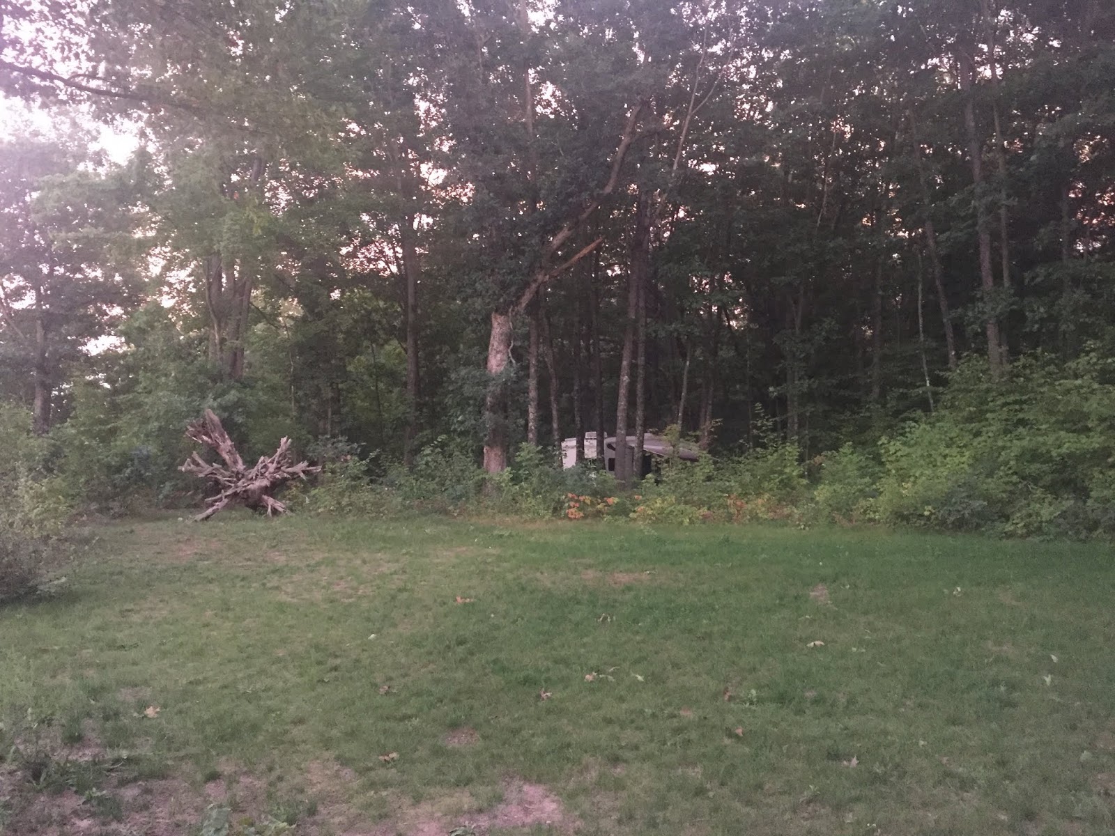 Travel Reviews & Information Newaygo, Michigan / State Park on Hardy