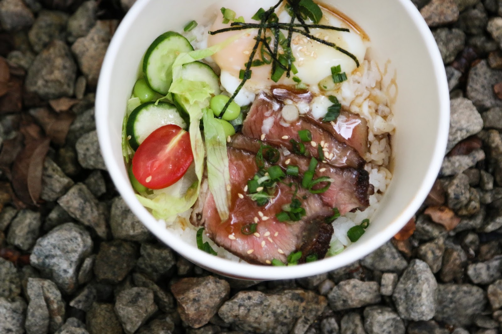 Japanese Rice Bowl with Sous Videcooked Beef The Food Canon