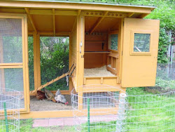 coop chicken plans diy chickens build cabin coops backyard wichita instructions building easy cleaning designs ve found clean wait run