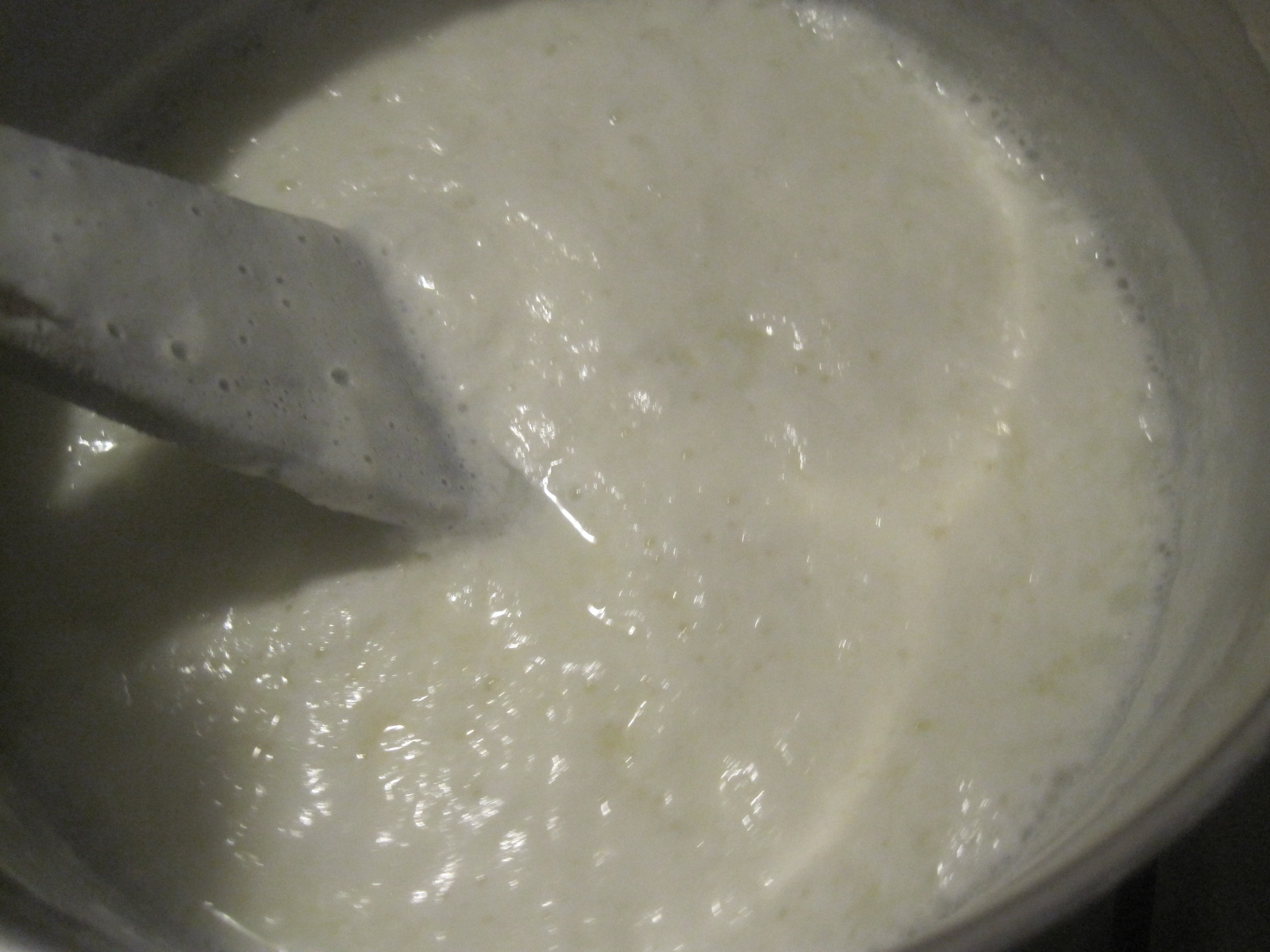 Mozzarella selbst gemacht – glatzkoch.de