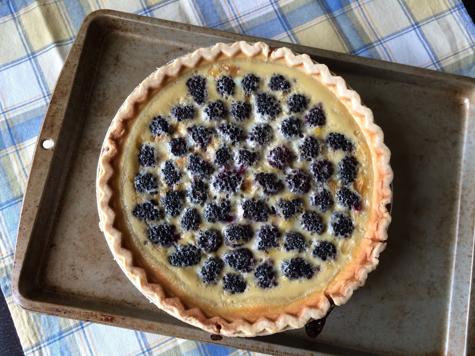 Faith and Flour Fruit and Custard Pie