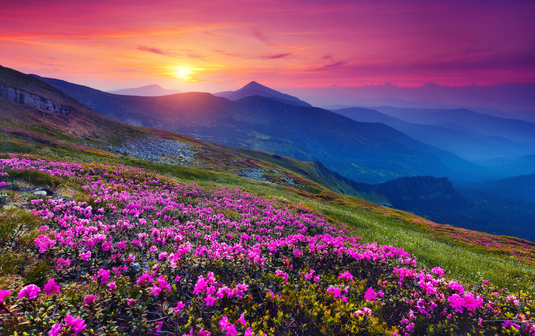 Fond Ecran Pc 4k Meilleurs Fonds Decrans Paysages Et Fleurs Fond Images