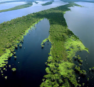  Ini merupakan salah satu sungai hitam yang merupakan anak dari sungai Amazon Sungai Rio Negro Yang Unik