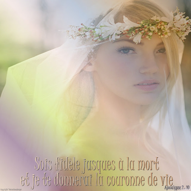 Autocollant Vinyle "Sois Fidèle à Qui Tu Es" LDS Mormon - Art Mural I27B Neuf