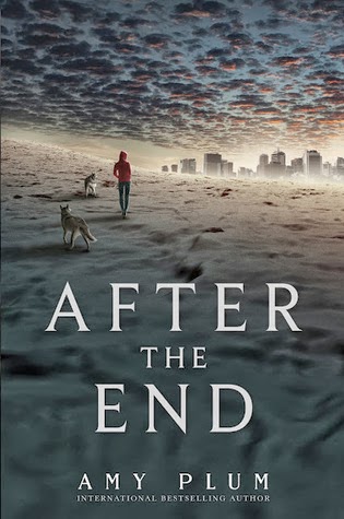 This is the end book