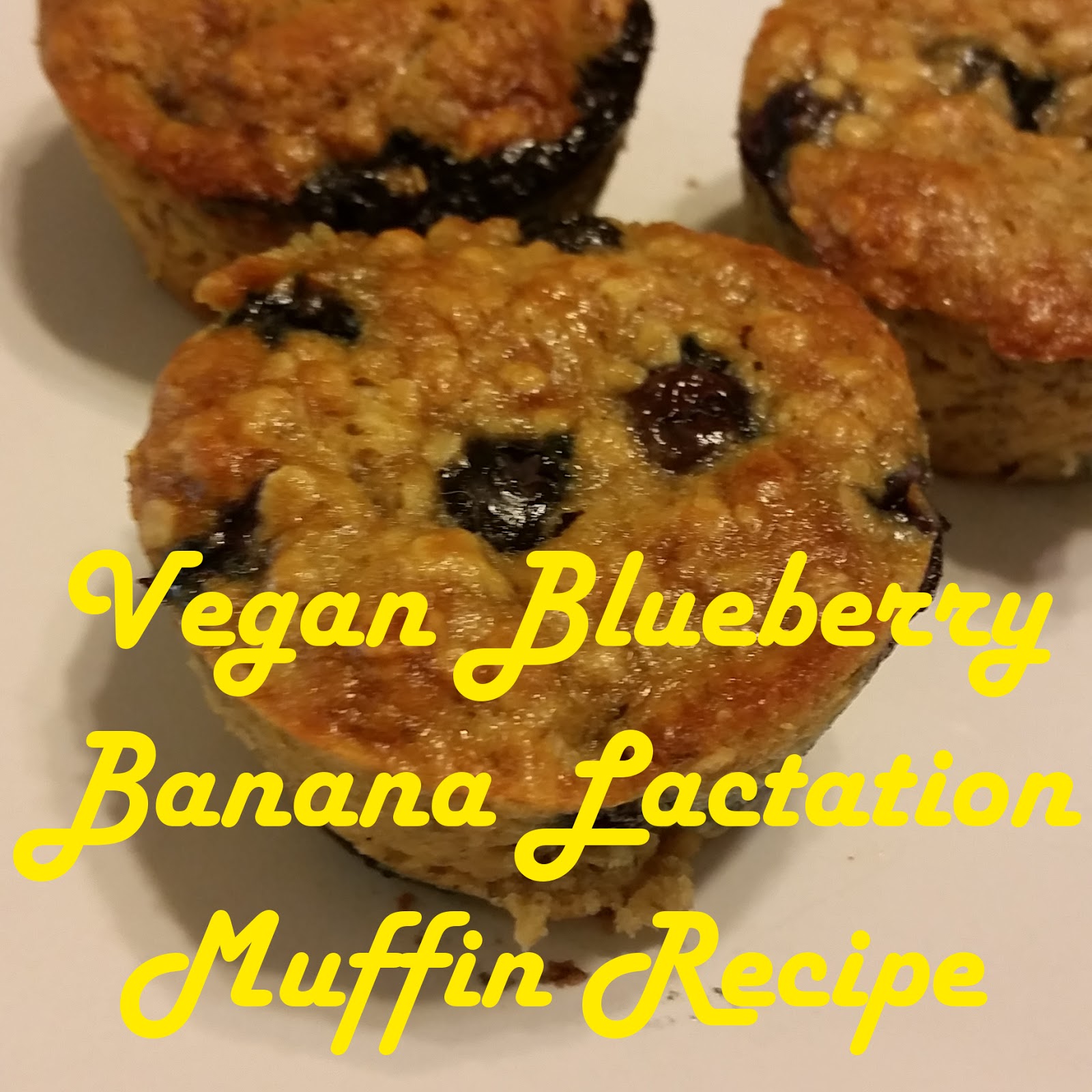 From Nerdy to Thirty Vegan Banana Blueberry Lactation Muffins