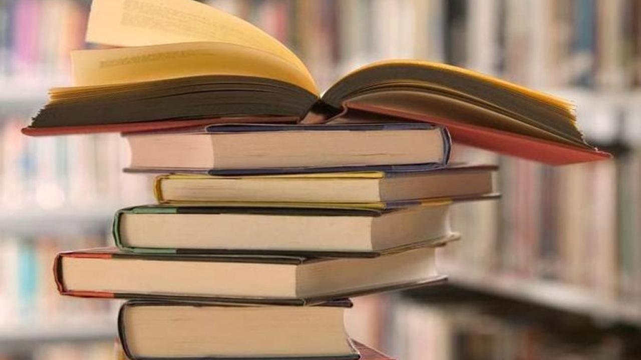 What is a literature review image