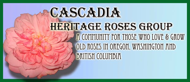 Cascadia Heritage Roses Group