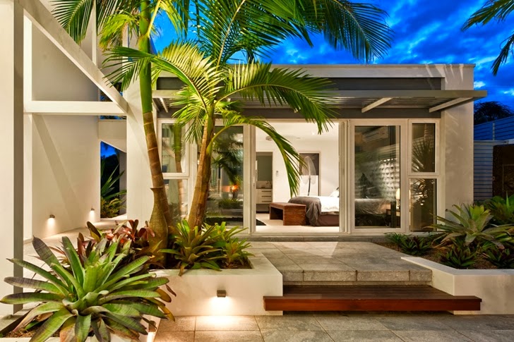 Palm trees in Coastal Oasis landscape project by Urban Exotic