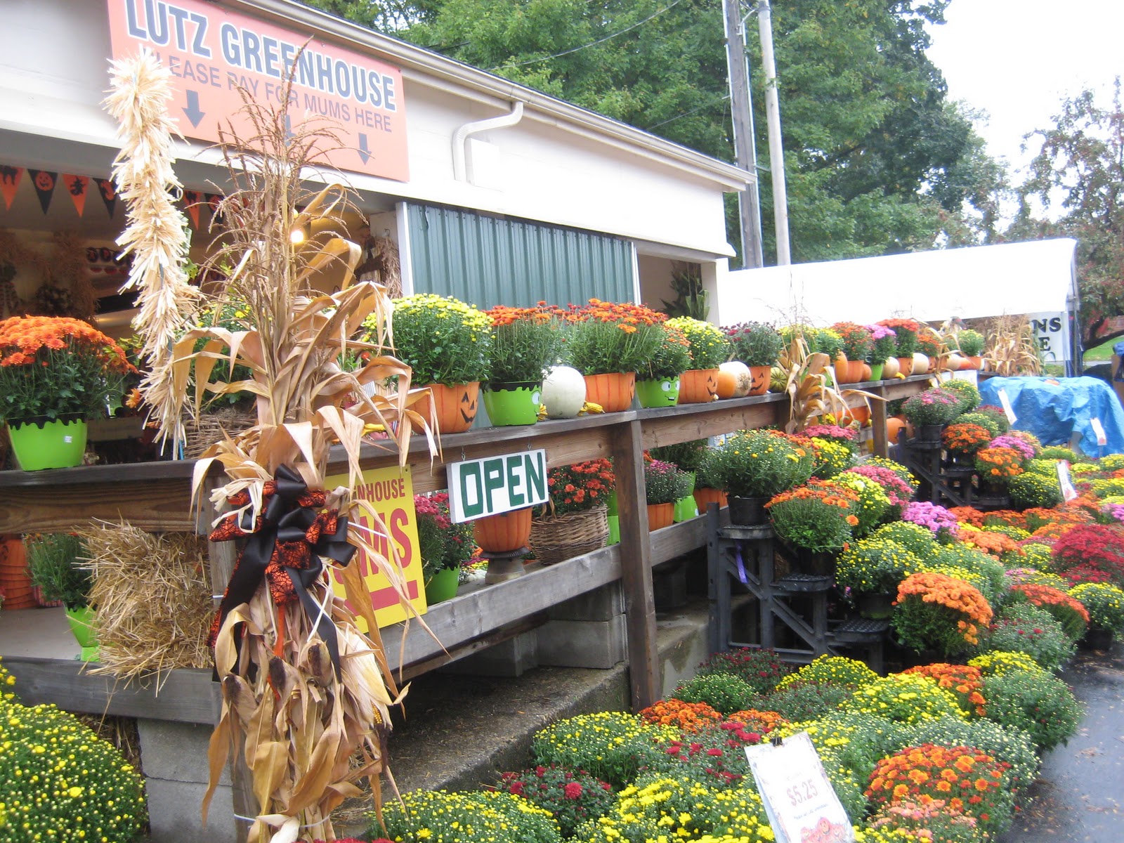 Do You Burn Toast White House Fruit Farm, Canfield, OH Yearly Fall Trip