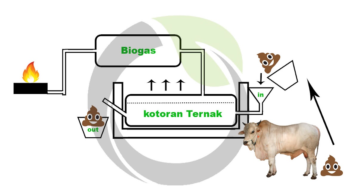 Skema Proses Pembuatan Biogas Dari Kotoran Ternak Sampul Pertanian My Xxx Hot Girl