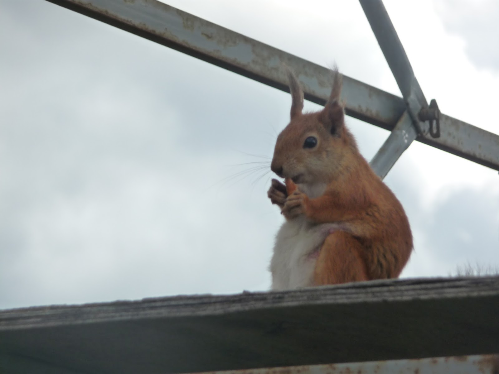 Заполярье 2016. "Край Земли". Алкомототур.