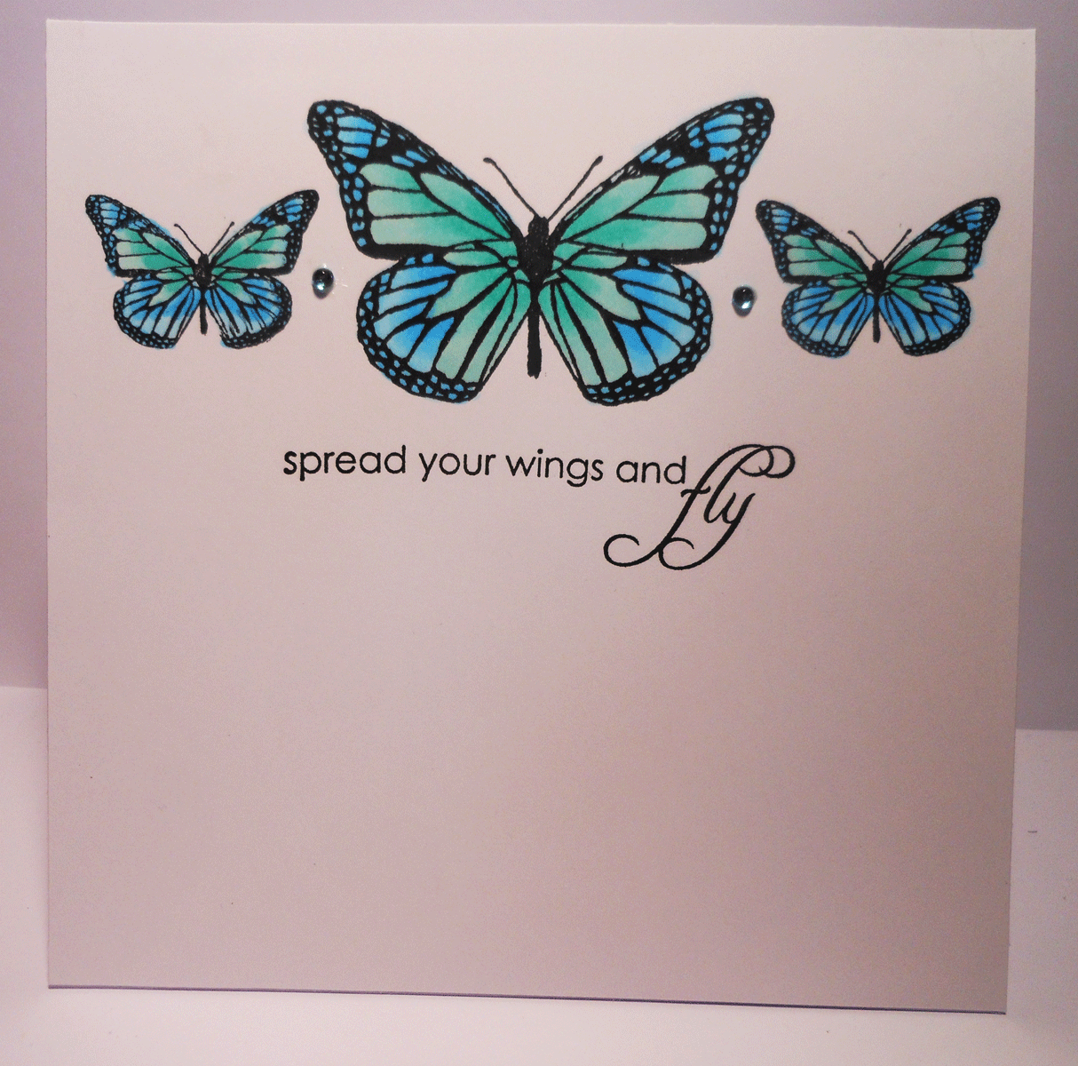 Colour and Sparkle Spread your wings and fly......because it's your day