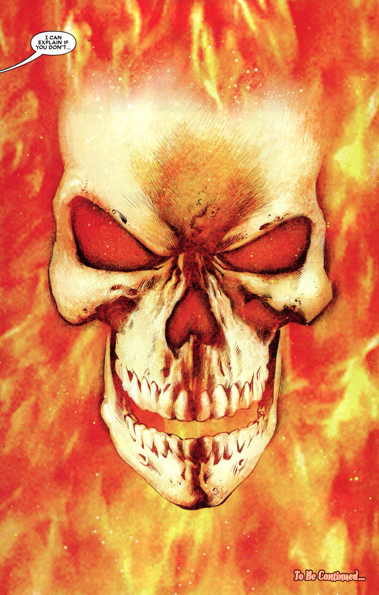 Read online Ghost Rider (2006) comic -  Issue #15 - 33