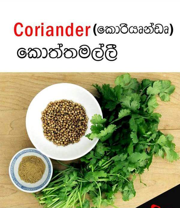 Sri Lankan spices names Sandy Foods Sri Lanka