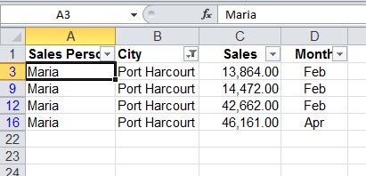 Excel Data Filter
