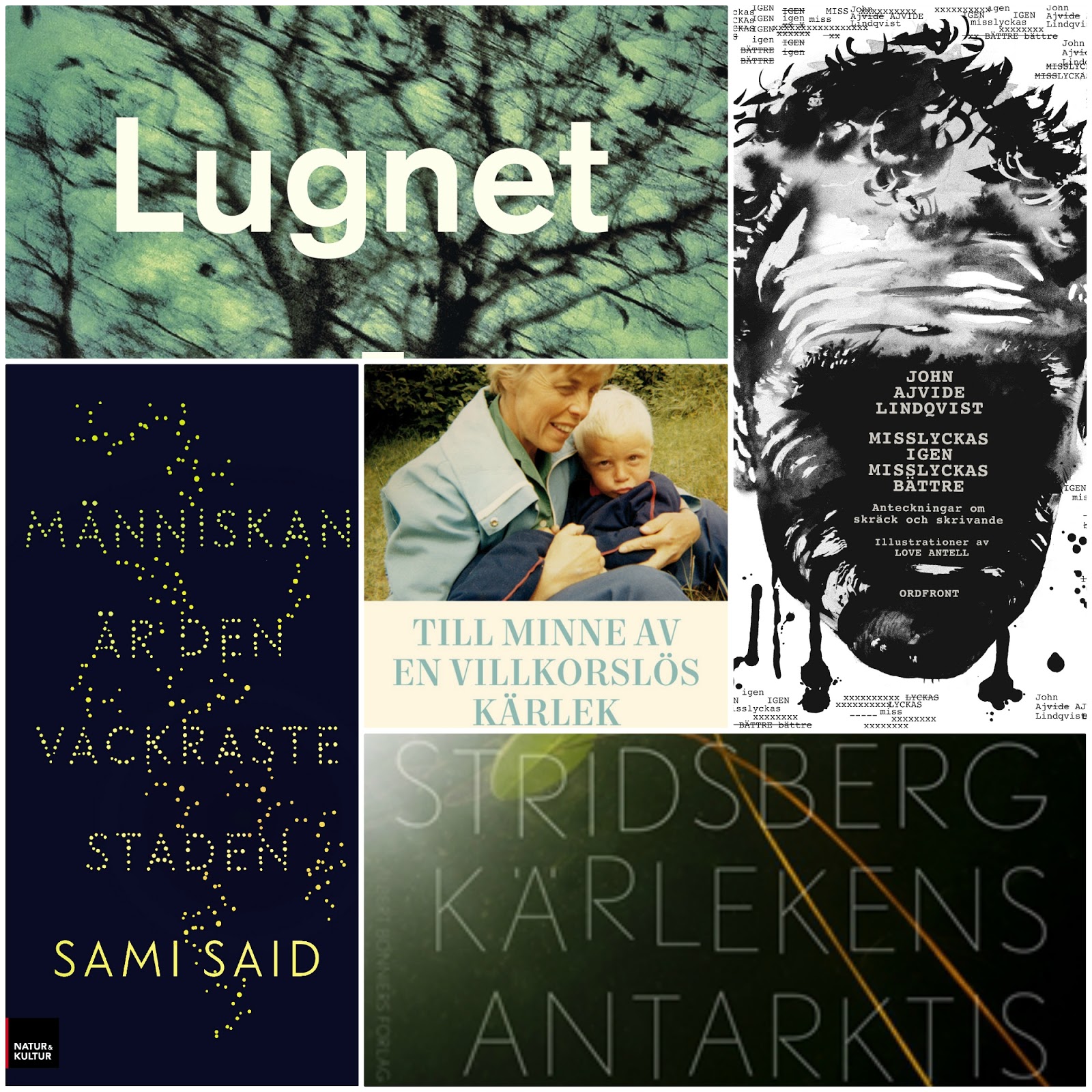 Ugglan & Boken Veckans topplista Böcker jag ser fram emot i höst